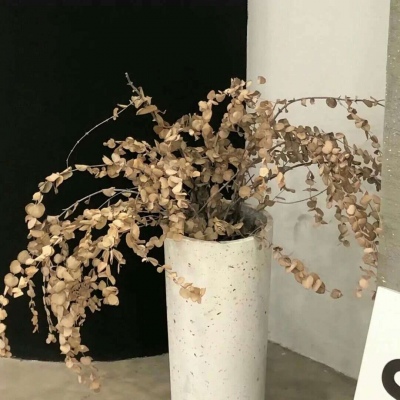 禹城福瑞交流群